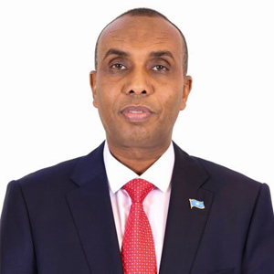 H.E. Hamza Abdi Barre